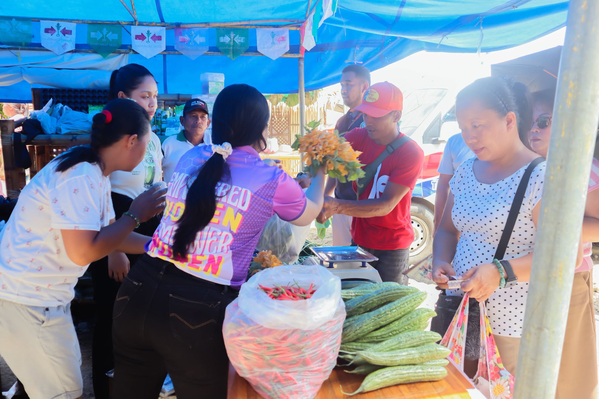 FROM FARM TO MARKET: GONZAGA GROWERS POST ₱44,105 SALES USING GAP-BASED VEGETABLE PRODUCTS photo 4
